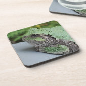Dessous de verre de grenouille arborescente (Côté gauche)