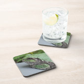 Dessous de verre de grenouille arborescente (Côté Droit)