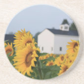 Dessous de verre de grès de la ferme Sunflower (Devant)