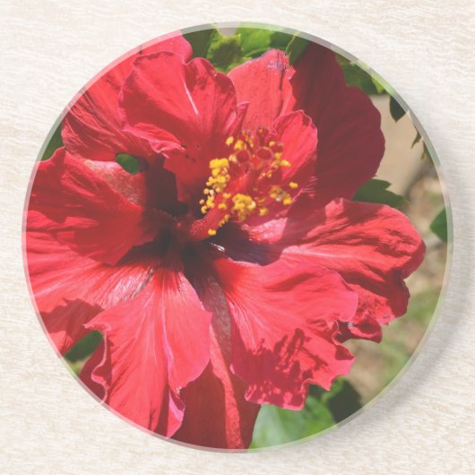 Dessous de verre de grès de l'Hibiscus rouge (Devant)