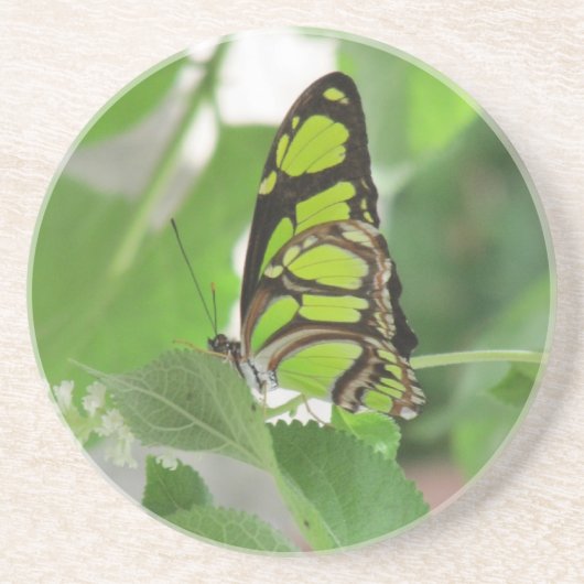 Dessous de verre de grès papillon (Devant)