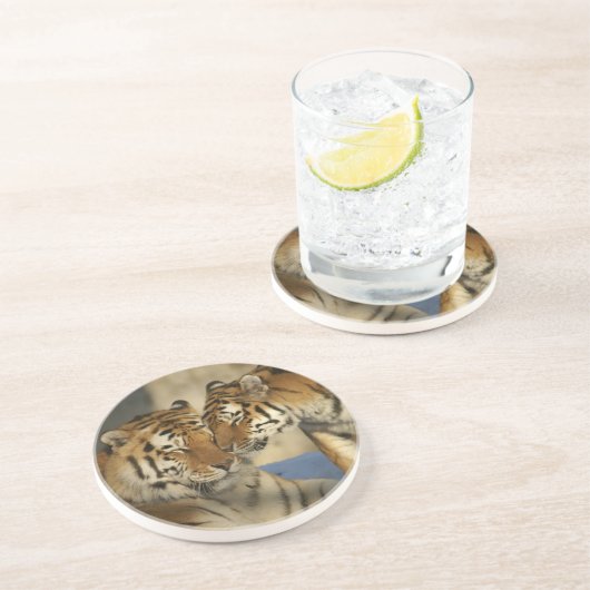 Dessous de verre de grès Tiger Love (Côté)