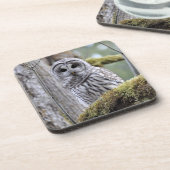 Dessous de verre de la Chouette barrée (Côté gauche)