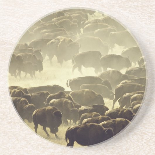 Dessous de verre de la revue Custer Buffalo (Devant)