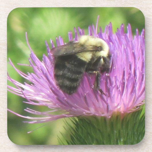 Dessous de verre de l'abeille et du chardon (Devant)