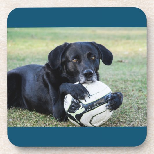 Dessous de verre de laboratoire noirs. Ensemble d (Devant)