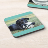 Dessous de verre de laboratoire noirs. Ensemble de (Côté gauche)