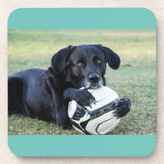 Dessous de verre de laboratoire noirs. Ensemble de (Devant)