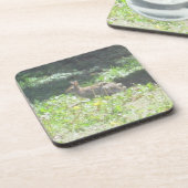 Dessous de verre de lapin sauvage - Ensemble de 6 (Côté gauche)
