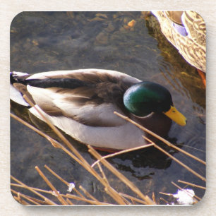 Dessous de verre de liège à canard de bois