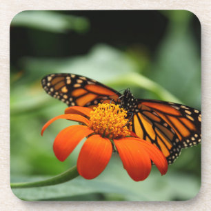 Dessous de verre de liège à papillon monarque