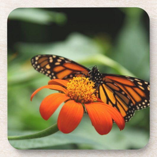 Dessous de verre de liège à papillon monarque (Devant)