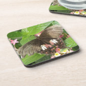 Dessous de verre de liège à queue épaisse carlet (Côté gauche)