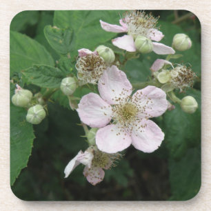 Dessous de verre de liège aux Fleurs de Blackberry