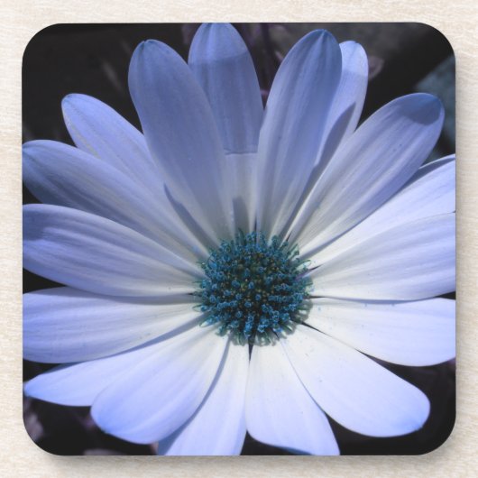 Dessous de verre de liège bleu marais (Devant)