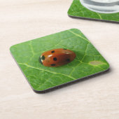 Dessous de verre de liège de Ladybug (Côté gauche)