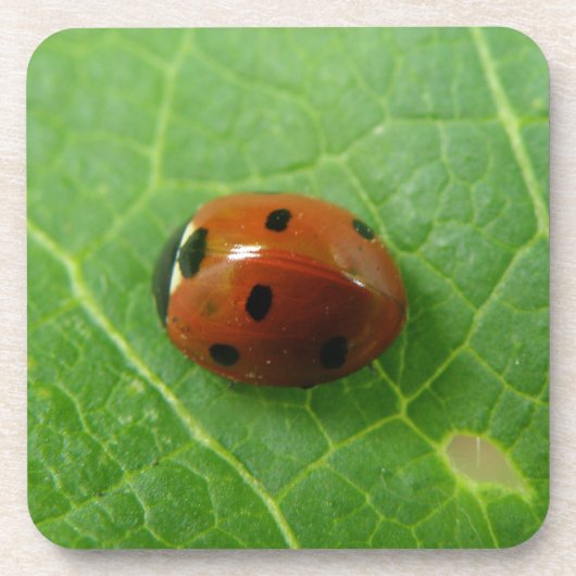 Dessous de verre de liège de Ladybug (Devant)