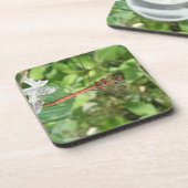 Dessous de verre de liège de libellules de dard co (Côté gauche)