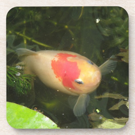 Dessous de verre de liège de poisson d'or (Devant)