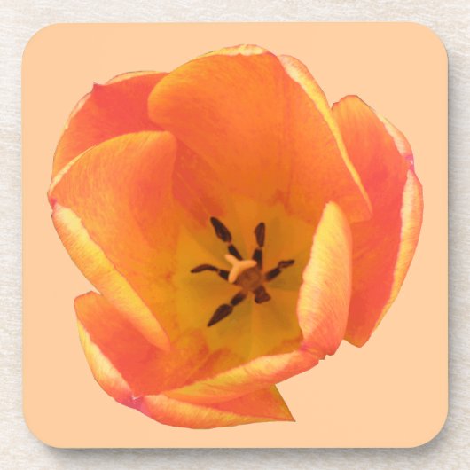 Dessous de verre de liège de Tulipe orange (Devant)