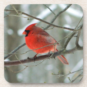 Dessous de verre de liège du cardinal d'hiver