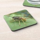 Dessous de verre de macros Hoverfly (Côté gauche)