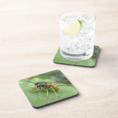 Dessous de verre de macros Hoverfly (Côté Droit)