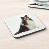 Dessous de verre de mélange et de match de Sheltie (Côté gauche)