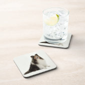 Dessous de verre de mélange et de match de Sheltie (Côté Droit)