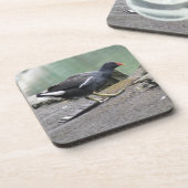 Dessous de verre de Moorhen Cork (Côté gauche)