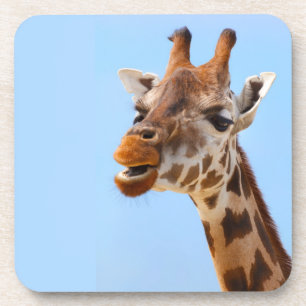 Dessous de verre de portrait de Giraffe