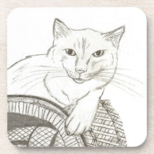 Dessous de verre de Portrait de Ragdoll de chat -