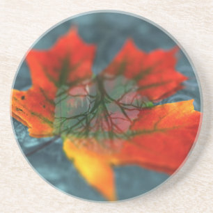 Dessous de verre de réflexion