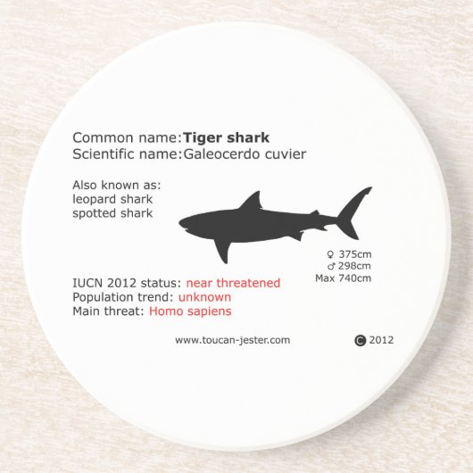 Dessous de verre de requin tigre (Devant)