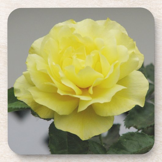 Dessous de verre de rose jaune (Devant)
