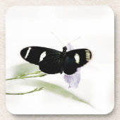 Dessous de verre de Sara Cork (Devant)