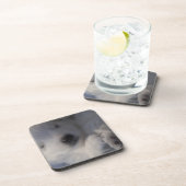 Dessous de verre de sommeil de chiot de Spitz (Côté Droit)