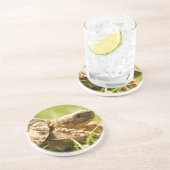 Dessous de verre de tortue (Côté)