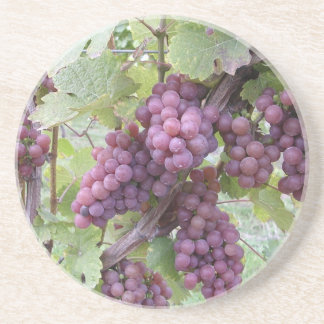 Dessous de verre de vigne