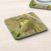 Dessous de verre de Yellowthroat commun (Côté gauche)