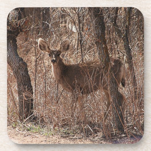 Dessous-de-verre Deer Stare (Devant)
