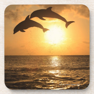 Dessous-de-verre Delfin, Delphin, Tuemmler plus brut, Tursiops
