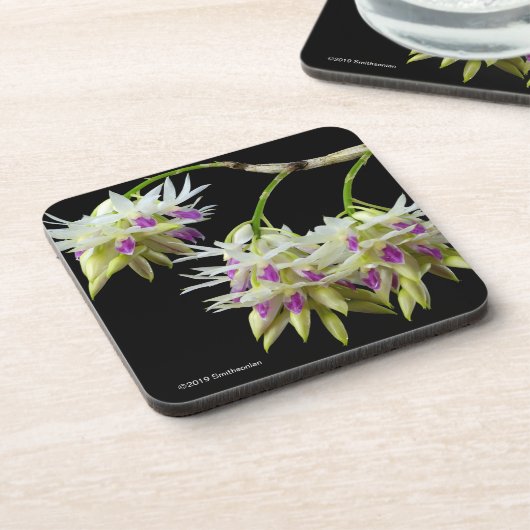 Dessous-de-verre Dendrobium Amethystoglossum (Côté gauche)