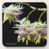 Dessous-de-verre Dendrobium Amethystoglossum (Devant)