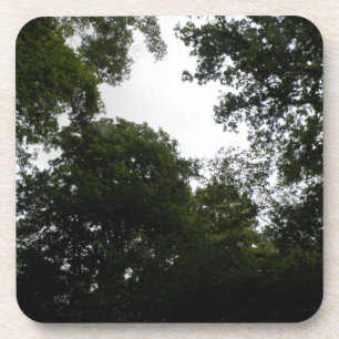 Dessous de verre déplaisant de liège forestier