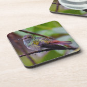 Dessous de verre des colibris Photographie origina (Côté gauche)