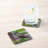 Dessous de verre des colibris Photographie origina (Côté Droit)