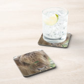 Dessous de verre des taureaux des Highlands (Côté Droit)