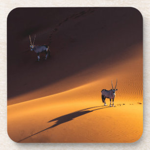 Dessous-de-verre Deserts   Namib Naukluft National Park Kenya