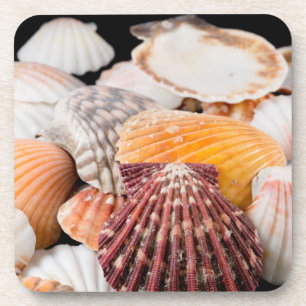 Dessous-de-verre Détail Des Coquillages Du Monde Entier 2